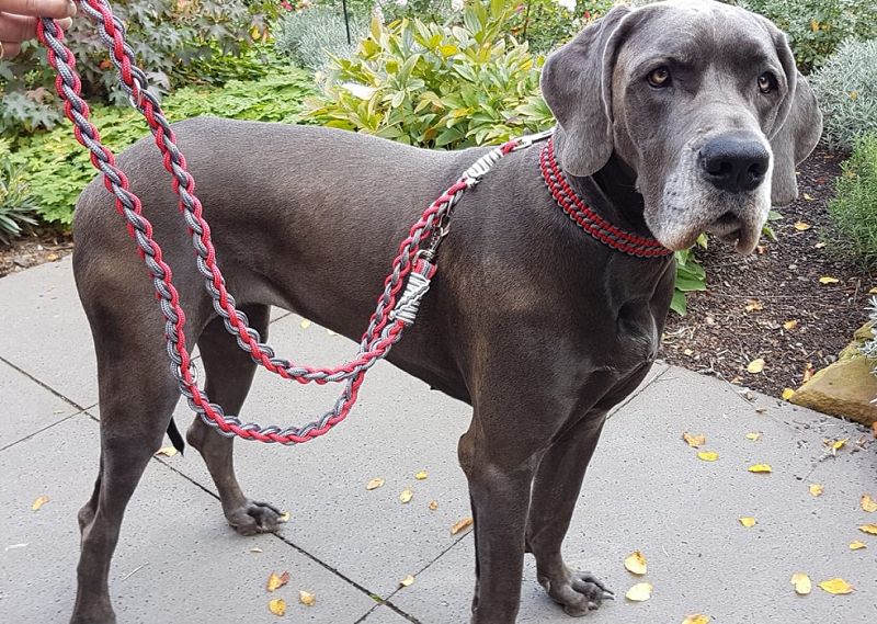 Leinen nach eigenen Wünschen