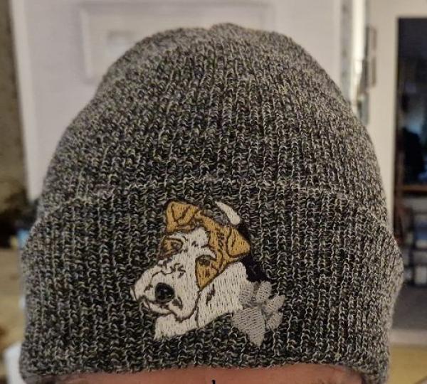 Wire Foxterrier